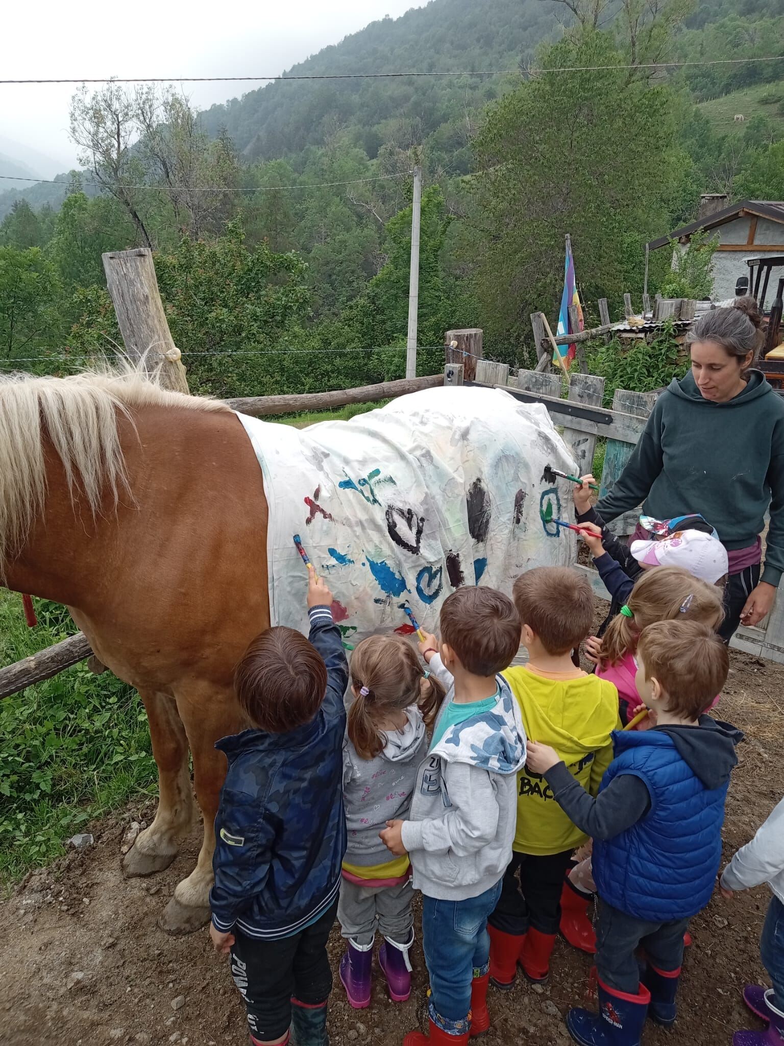 Asilo Infantile Toesca e Macario Pagina Home 7